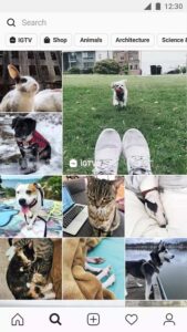 Insta Followers APK 2