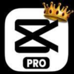 CapCut Pro 17.4 0 APK v17.4 0 Free Download For Android